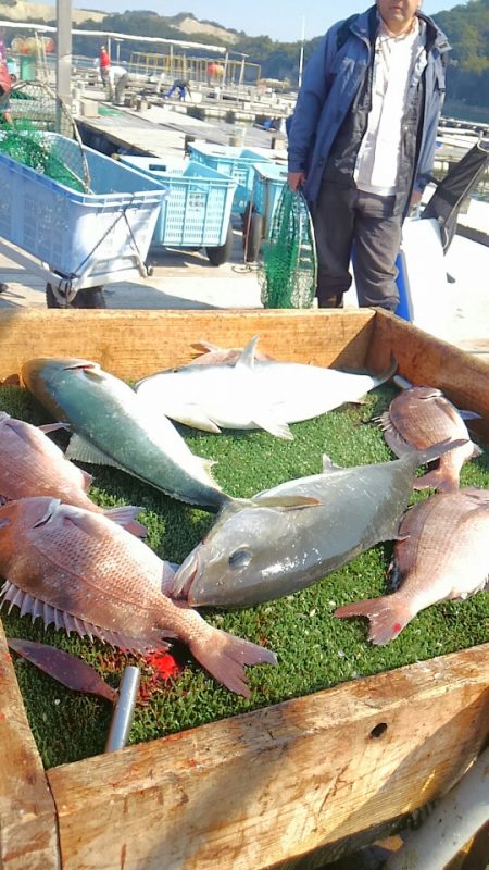海の釣堀 海恵 釣果