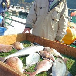 海の釣堀 海恵 釣果
