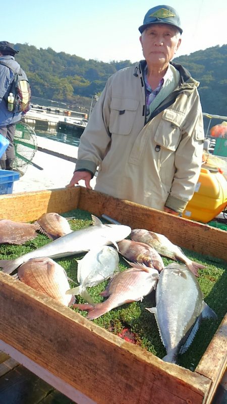 海の釣堀 海恵 釣果