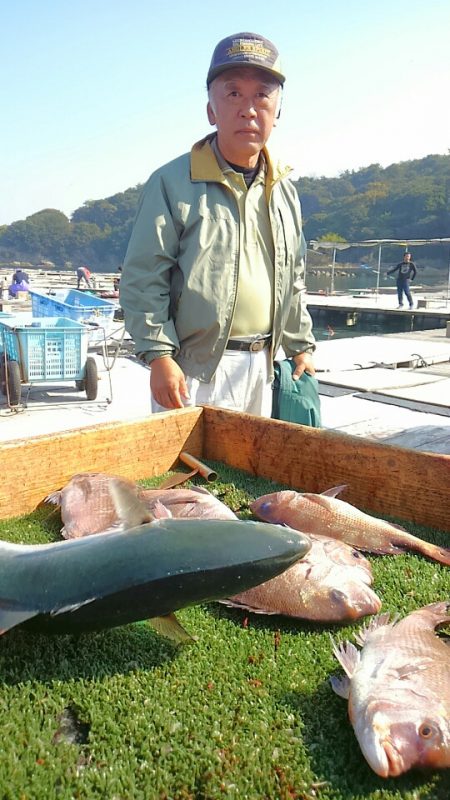 海の釣堀 海恵 釣果
