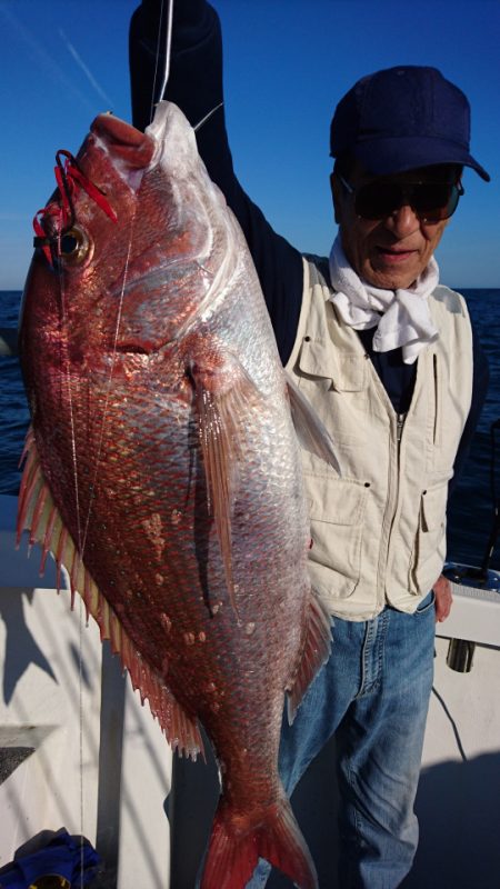 ARCADIAⅡ (アルカディアⅡ) 釣果