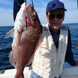 ARCADIAⅡ (アルカディアⅡ) 釣果