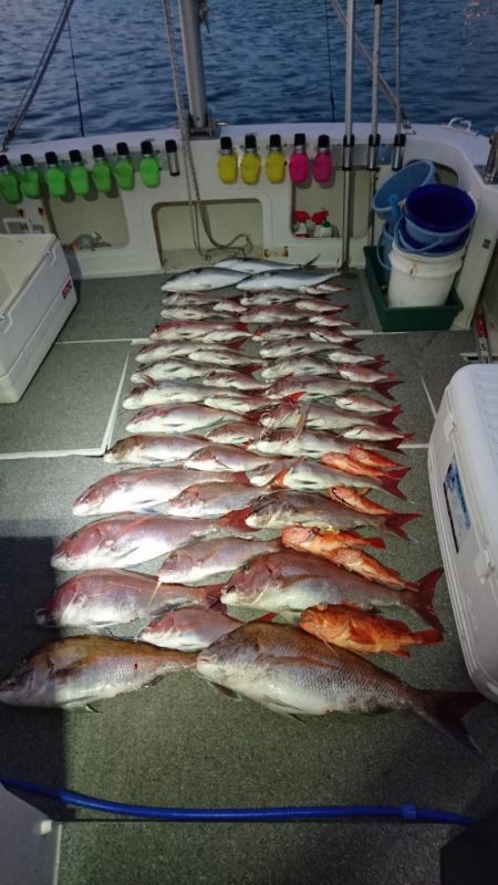 ARCADIAⅡ (アルカディアⅡ) 釣果