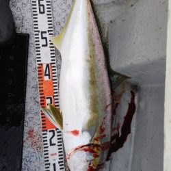 第二龍勢丸 釣果