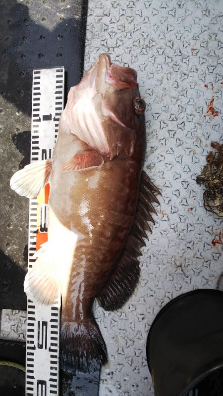 第二龍勢丸 釣果