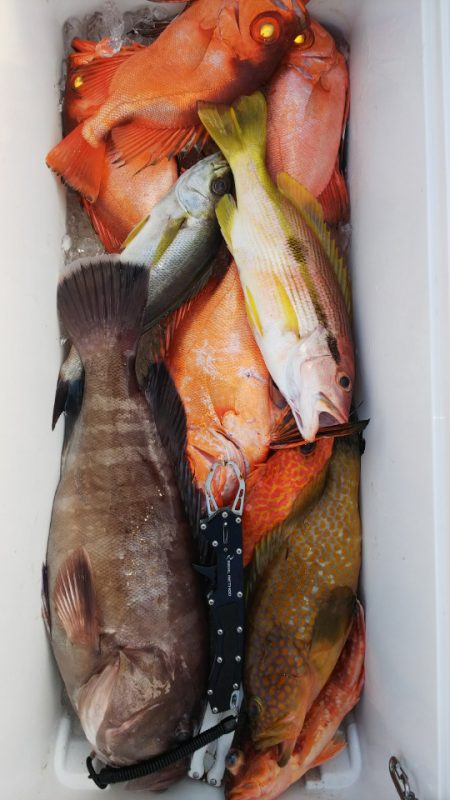 第二龍勢丸 釣果