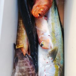 第二龍勢丸 釣果