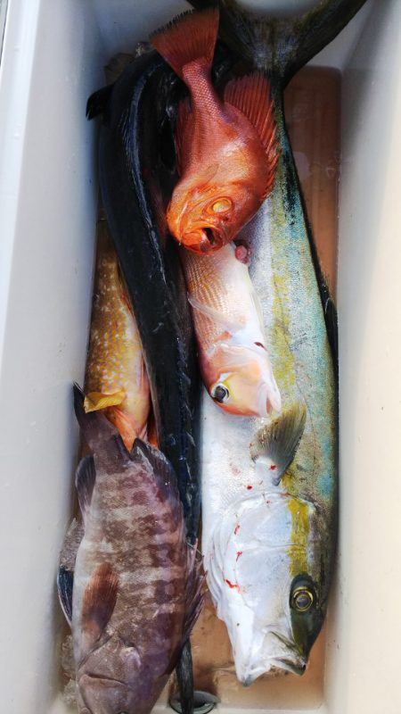 第二龍勢丸 釣果