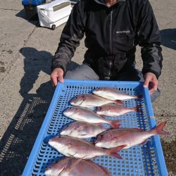 第三共栄丸 釣果