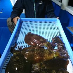 第三共栄丸 釣果