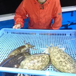 第三共栄丸 釣果