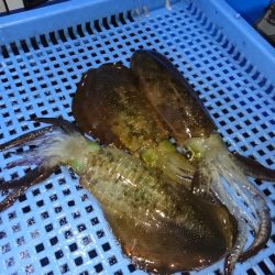 第三共栄丸 釣果