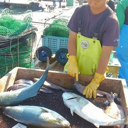 海の釣堀 海恵 釣果