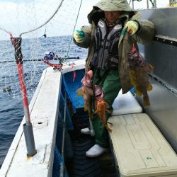 芳陽丸 釣果