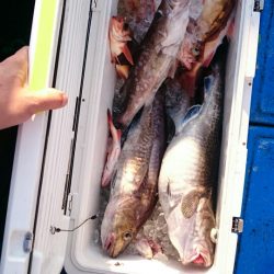海龍丸（石川） 釣果