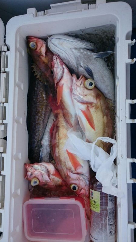 海龍丸（石川） 釣果