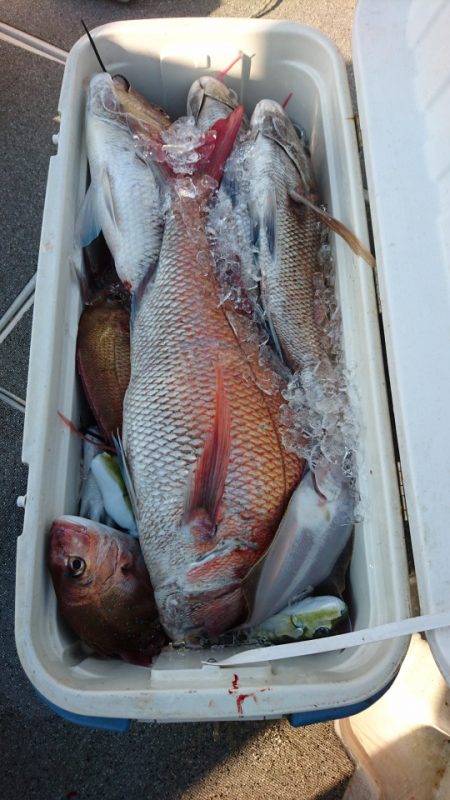 ARCADIAⅡ (アルカディアⅡ) 釣果