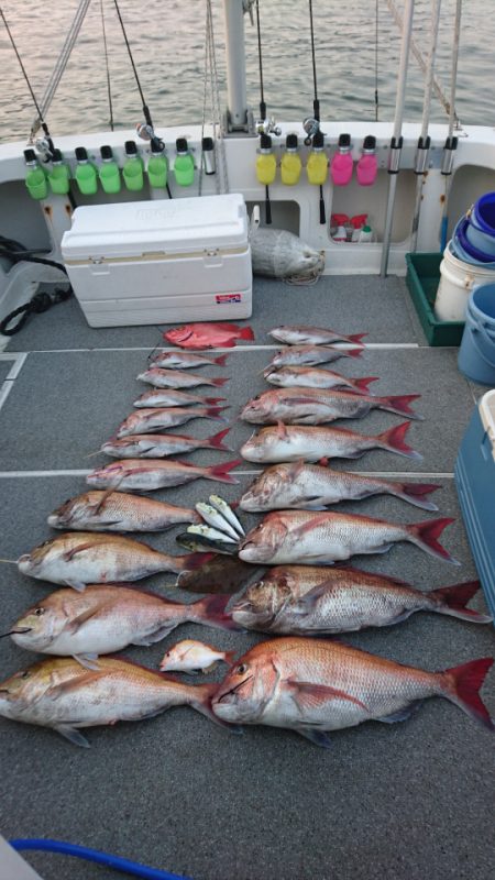 ARCADIAⅡ (アルカディアⅡ) 釣果