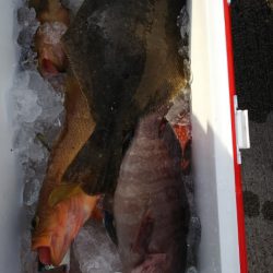 第二龍勢丸 釣果