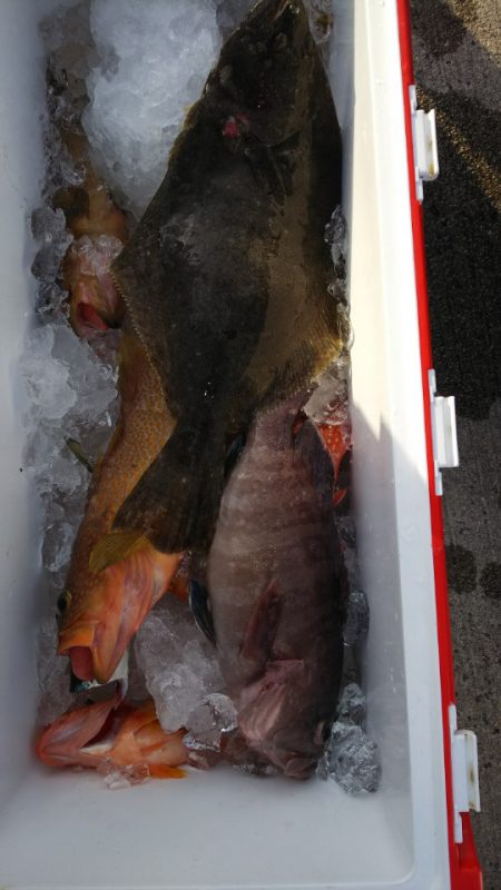 第二龍勢丸 釣果