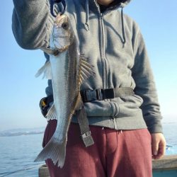 アマテラス 釣果