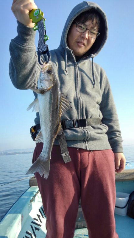 アマテラス 釣果