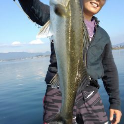 アマテラス 釣果