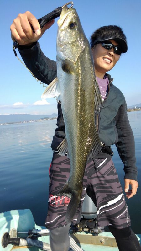 アマテラス 釣果