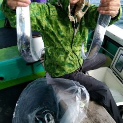 小島丸 釣果