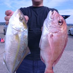 第三共栄丸 釣果