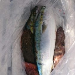 海龍丸（石川） 釣果