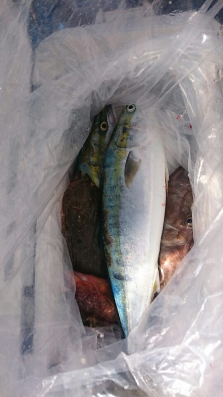 海龍丸（石川） 釣果