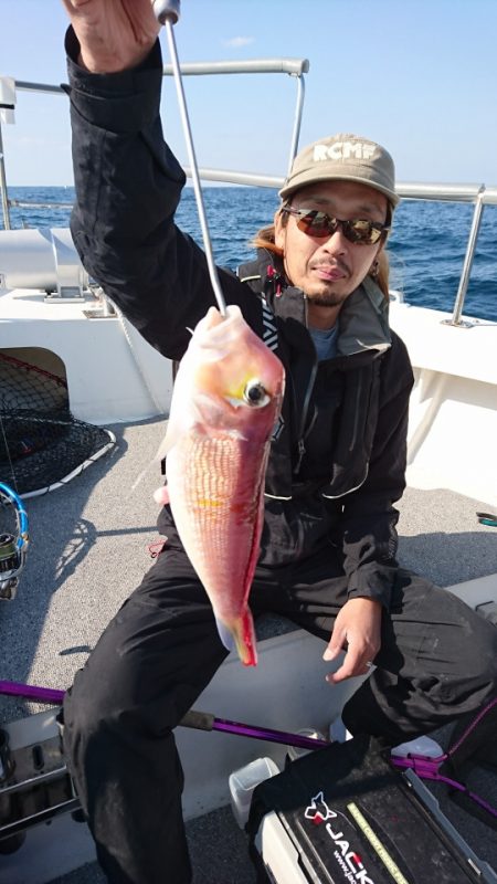 ARCADIAⅡ (アルカディアⅡ) 釣果