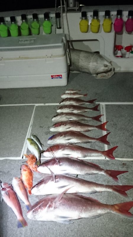 ARCADIAⅡ (アルカディアⅡ) 釣果