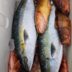 第二龍勢丸 釣果