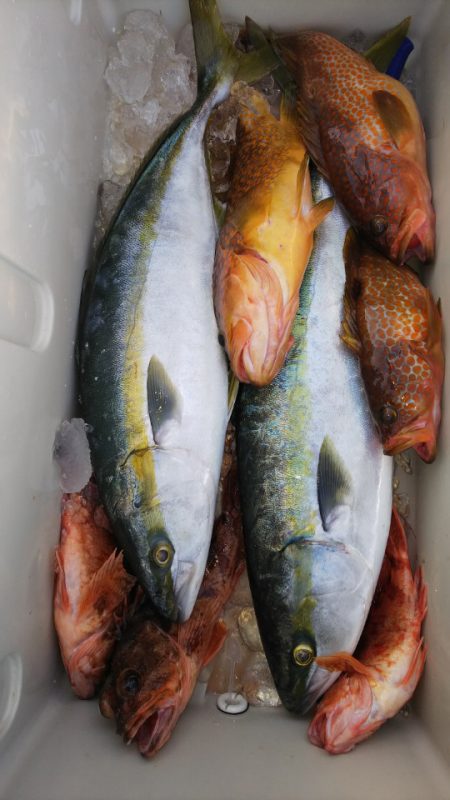 第二龍勢丸 釣果