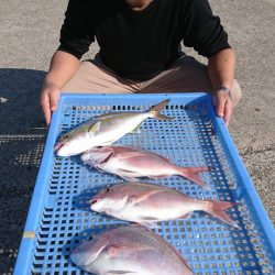 第三共栄丸 釣果