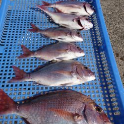 第三共栄丸 釣果