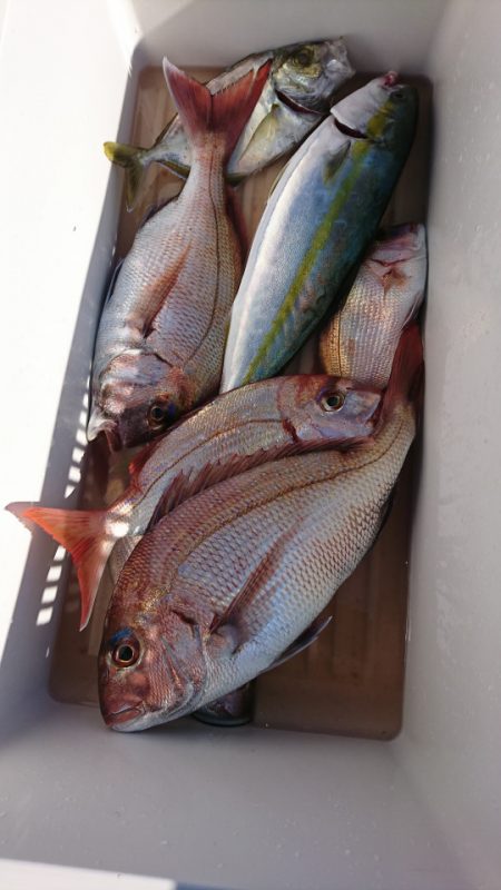 第三共栄丸 釣果