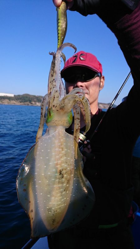 第三共栄丸 釣果