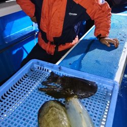 第三共栄丸 釣果