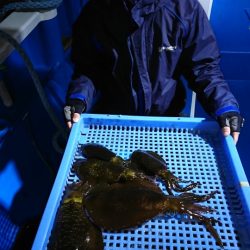 第三共栄丸 釣果