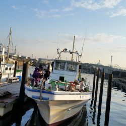 金沢八景鴨下丸 釣果