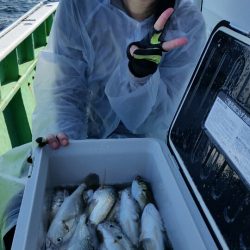 金沢八景鴨下丸 釣果