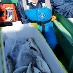 金沢八景鴨下丸 釣果