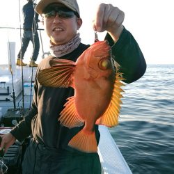 LUSTER『ラスター』 釣果