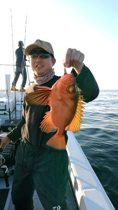 LUSTER『ラスター』 釣果