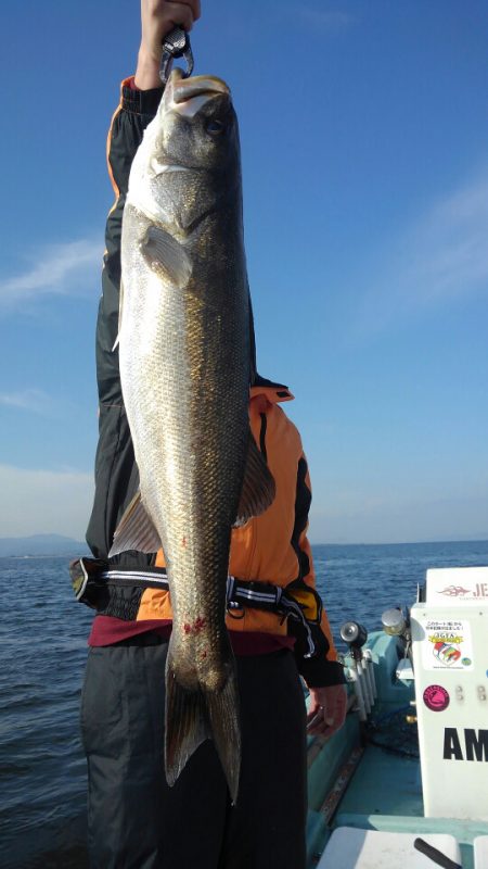 アマテラス 釣果