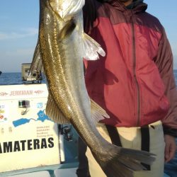 アマテラス 釣果