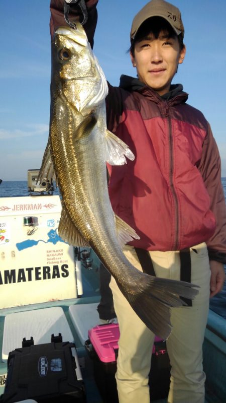 アマテラス 釣果